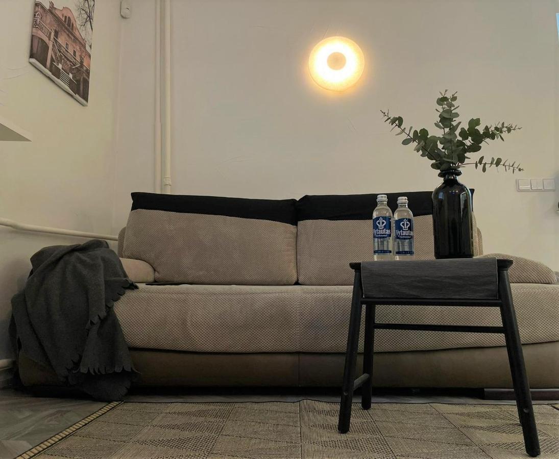 Linkuva Manor Apartment Kaunas Kültér fotó